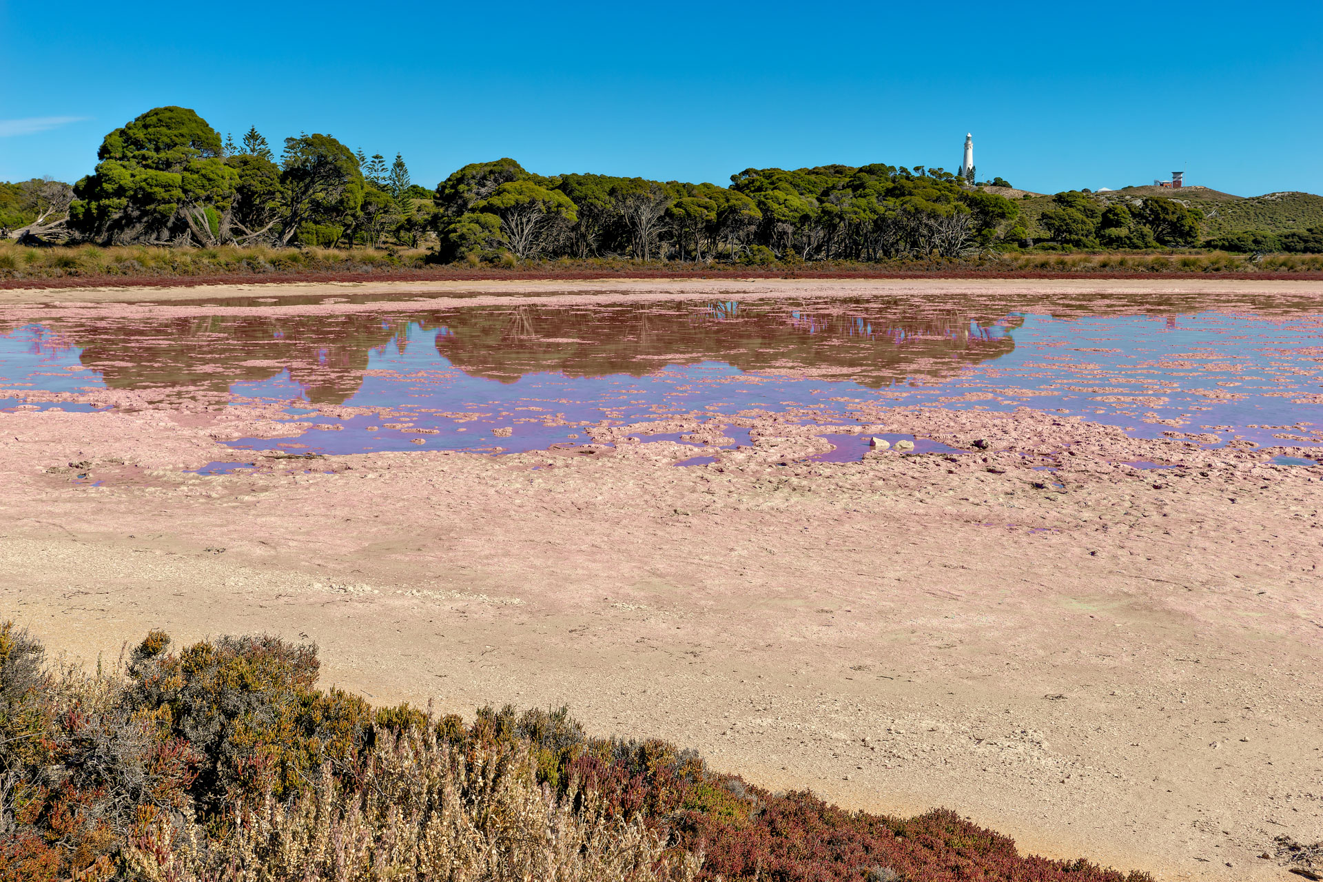 Rottnest Island - Pink Lake